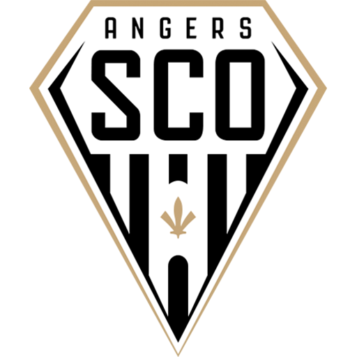 Écusson Angers Image