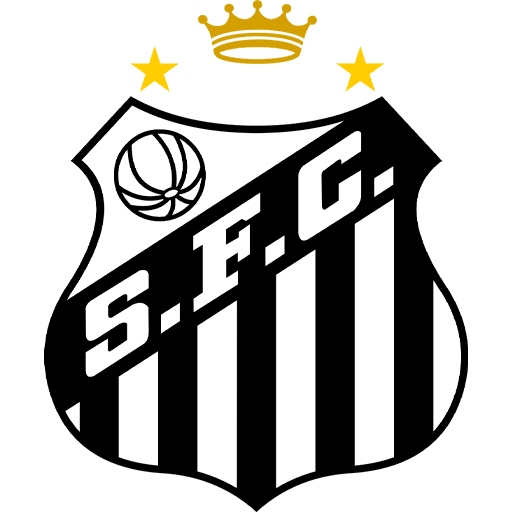 Écusson Santos Image