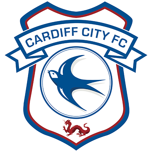 Écusson Cardiff Image