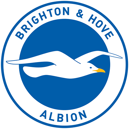 Écusson Brighton Image