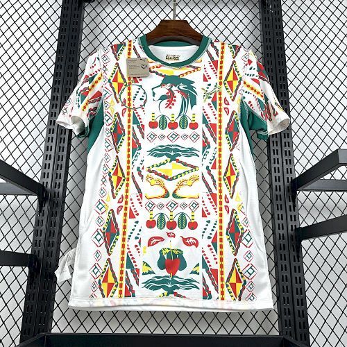 Maillot Sénégal Coupe Du Monde Domicile 2026/2027