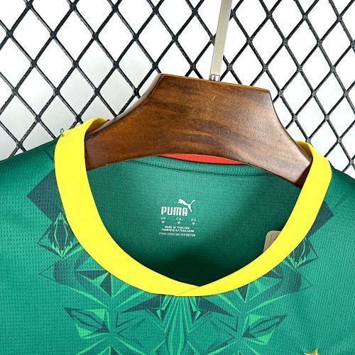 Maillot Sénégal Coupe Du Monde Extérieur 2026/2027