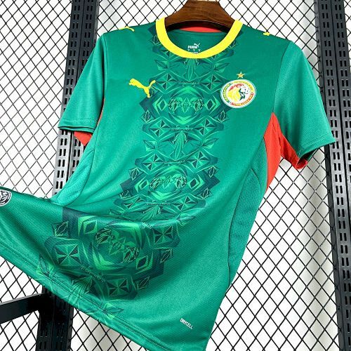 Maillot Sénégal Coupe Du Monde Extérieur 2026/2027