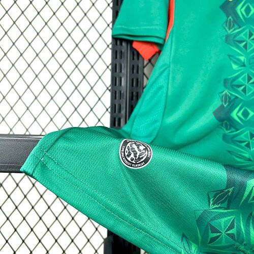 Maillot Sénégal Coupe Du Monde Extérieur 2026/2027