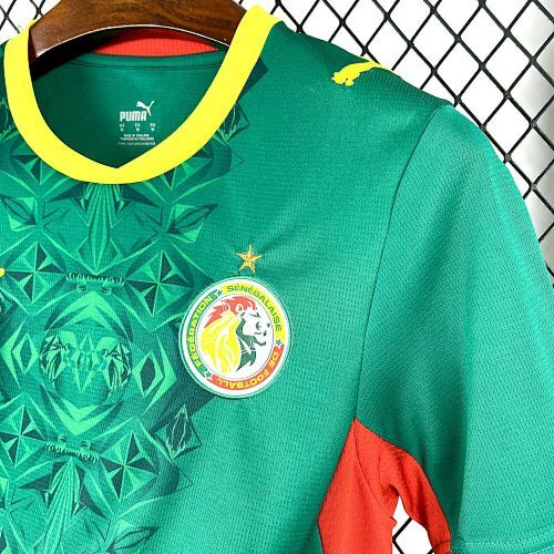 Maillot Sénégal Coupe Du Monde Extérieur 2026/2027