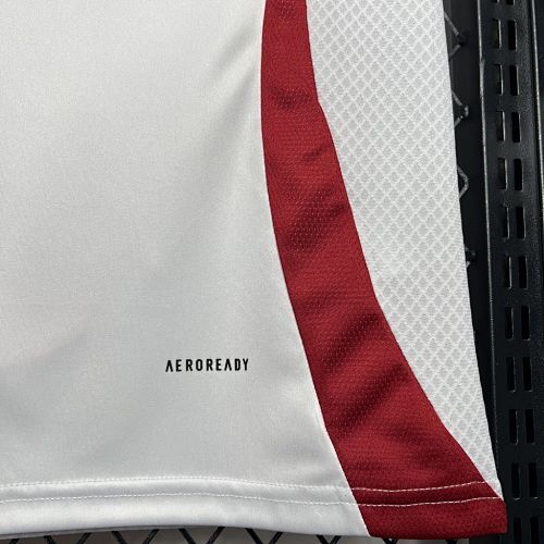 Maillot Japon Extérieur 2024/2025