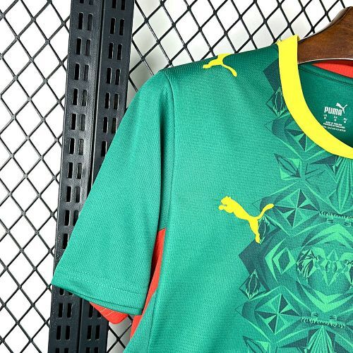Maillot Sénégal Coupe Du Monde Extérieur 2026/2027