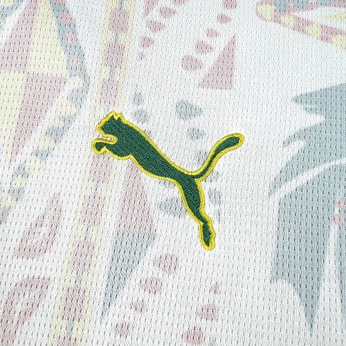 Maillot Sénégal Coupe Du Monde Domicile 2026/2027