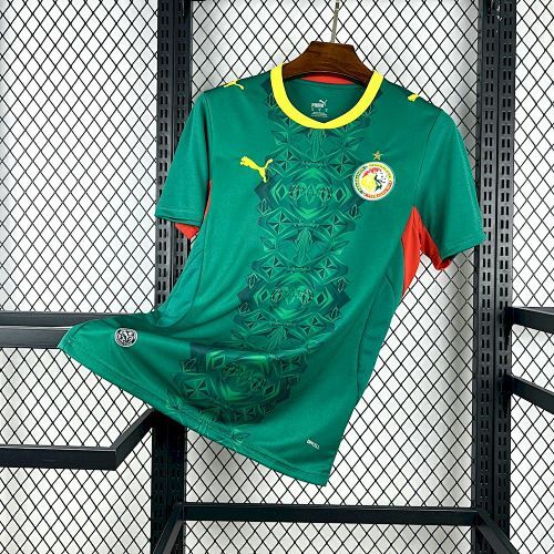 Maillot Sénégal Coupe Du Monde Extérieur 2026/2027