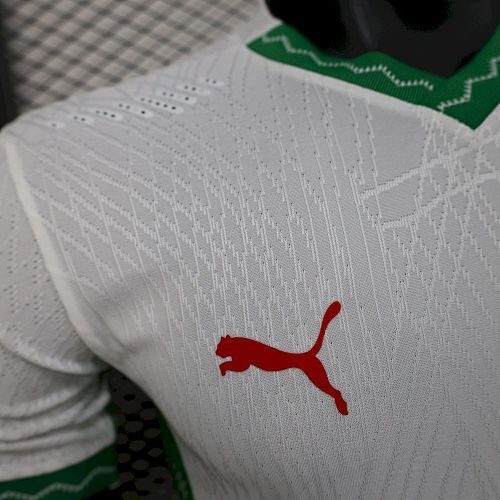 Maillot Joueur Maroc Coupe Du Monde Extérieur 2026/2027