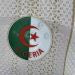 Maillot Joueur Algérie Domicile Coupe Du Monde 2026 — vue 9