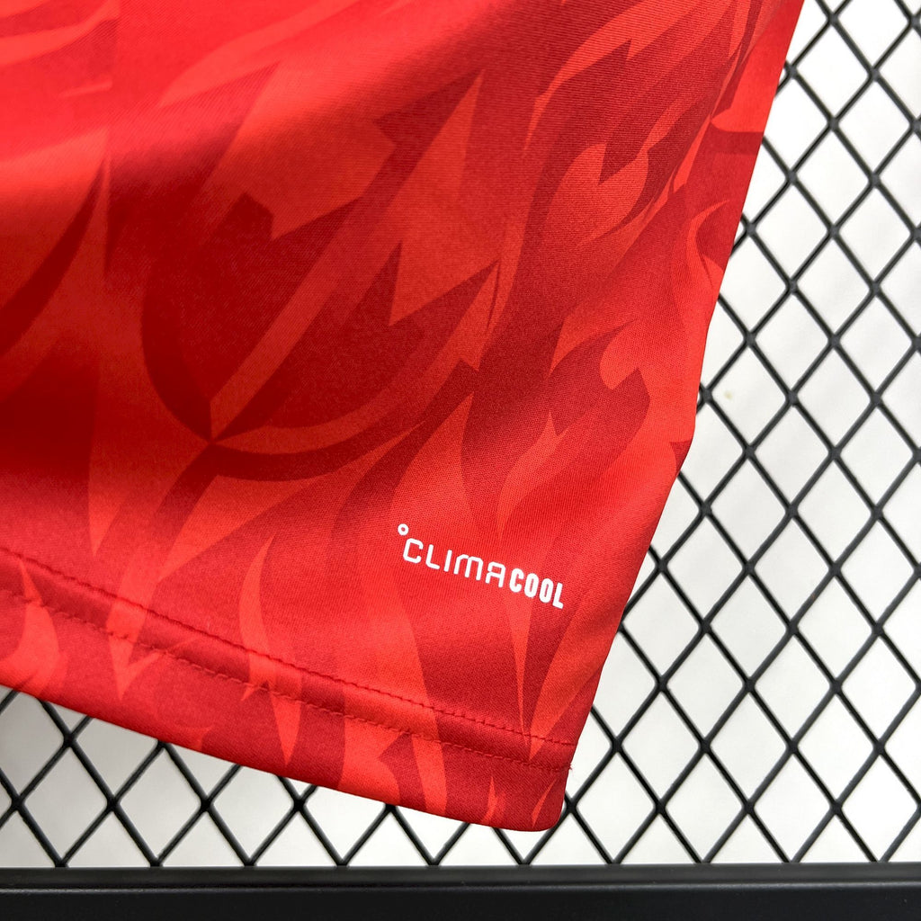 Camiseta local de Japón 2025/2026