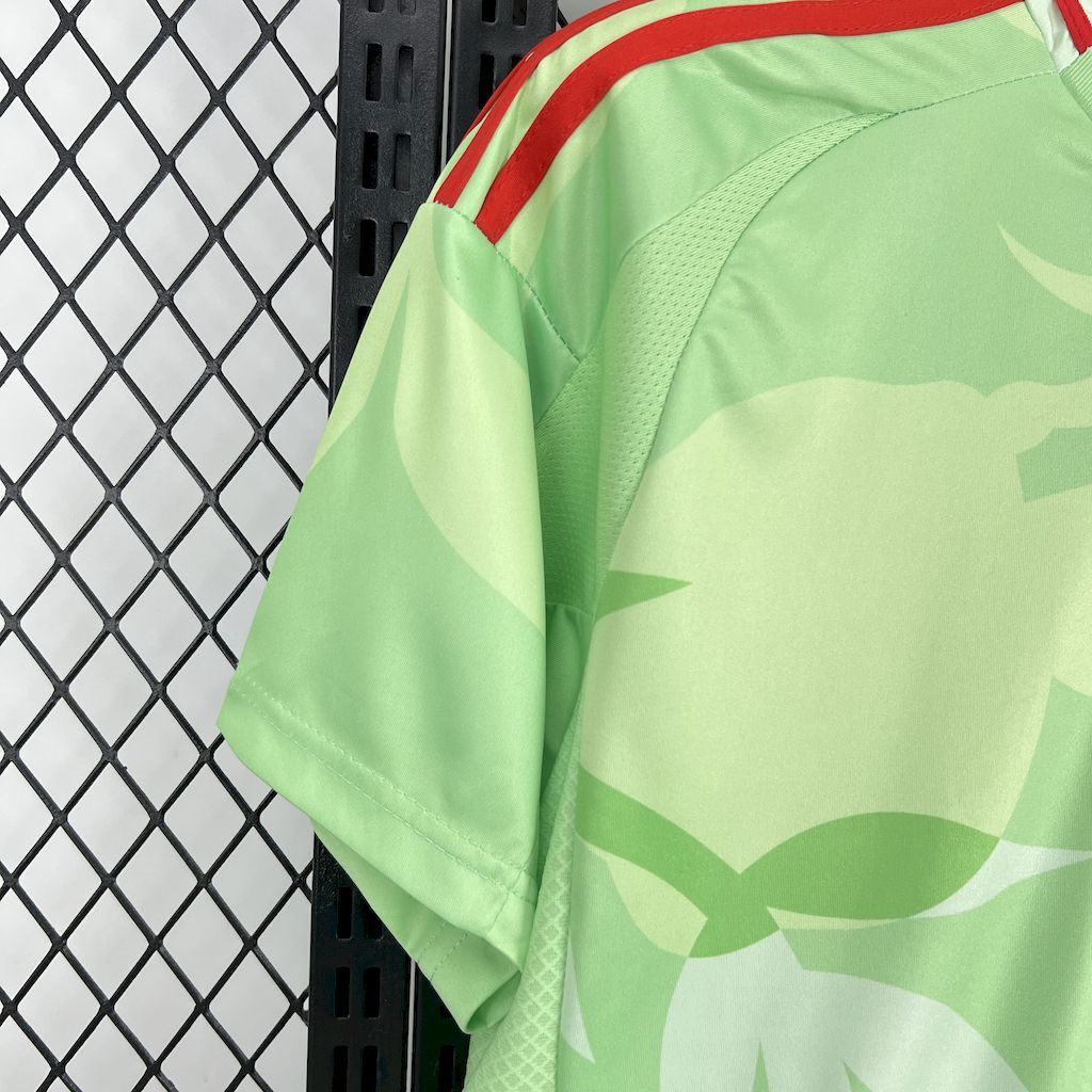 Japan Home Jersey 2025/2026